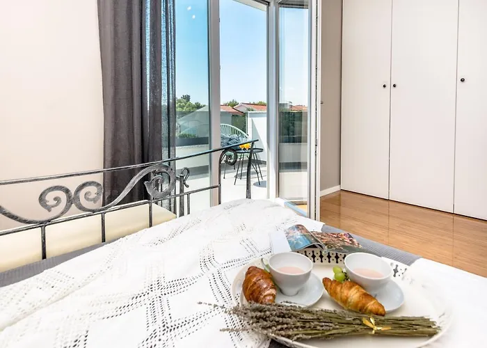 Sibinium (adults Only) * שיבניק